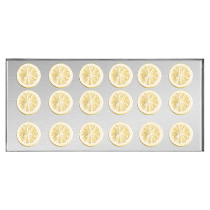 Vacuum Freeze Dryer 4-Layer Fruit Vegetable Freeze Drying Machine W/ Pump Black