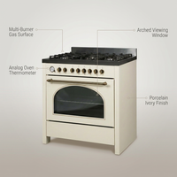 Professional Gas Range Built for Culinary Excellence, 90 Inch Width, Convection Oven, Multi-Burner Surface — infographic